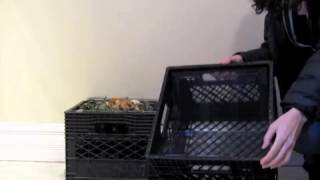 Drying Food Waste
