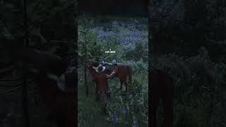 Beginners mistake in Red Dead Redemption 2