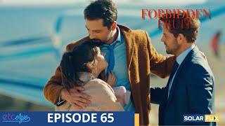 Forbidden Fruit Episode 65 | FULL EPISODE | TAGALOG DUB | Turkish Drama