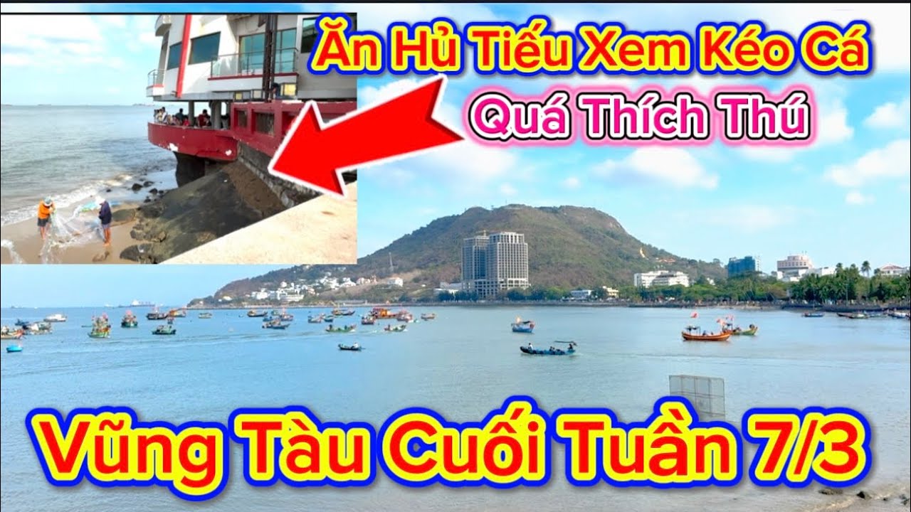 1246 .Vũng Tàu Cuối Tuần 7/3 Ăn Hủ Tiếu Hải Sản Xem Cảnh Kéo Cá Chỉ Có Ở Vũng Tàu