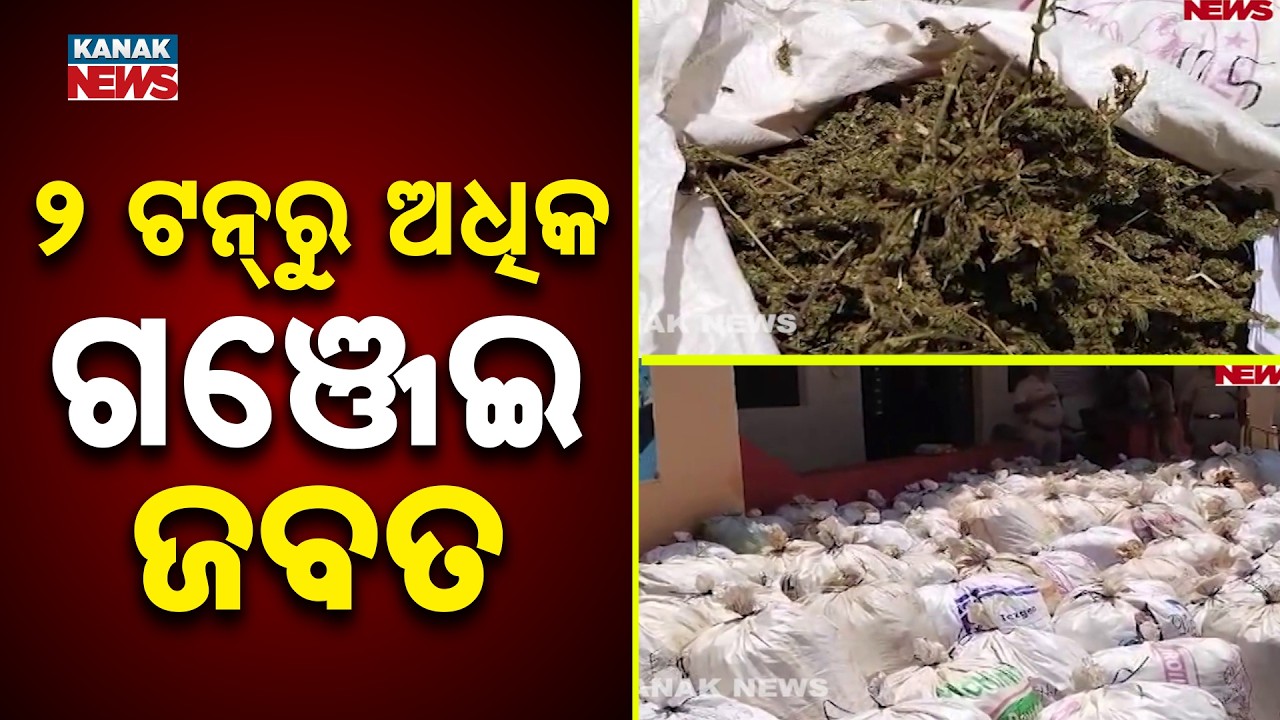 Huge Drug Bust in Koraput | Over ₹1 Crore Ganja Seized