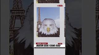 Celebrity John Pork and his Friend News Profile