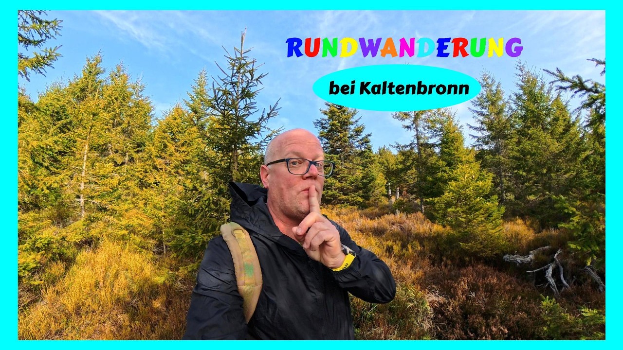 Entspannte Wanderung im Nordschwarzwald bei Kaltenbronn über den Hohlohturm bis zum Toten Mann