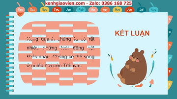 Giáo án powerpoint bài 15: Động vật sống ở đâu | GA Tự nhiên và Xã hội 2 Chân trời sáng tạo