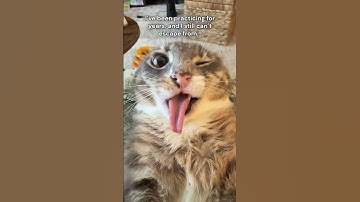 They say practice makes perfect...