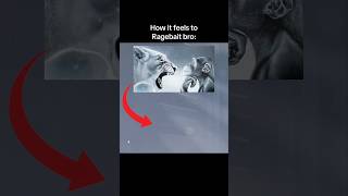 How it feels to Ragebait bro: