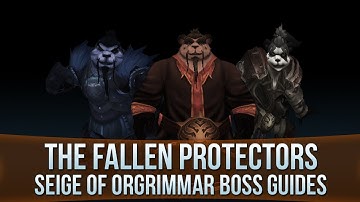 The Fallen Protectors - Siege of Orgrimmar Raid Boss Guide!