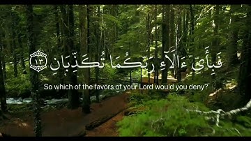 سورة الرحمان من الآية 10 إلى الآية 16  القارئ اسلام صبحي