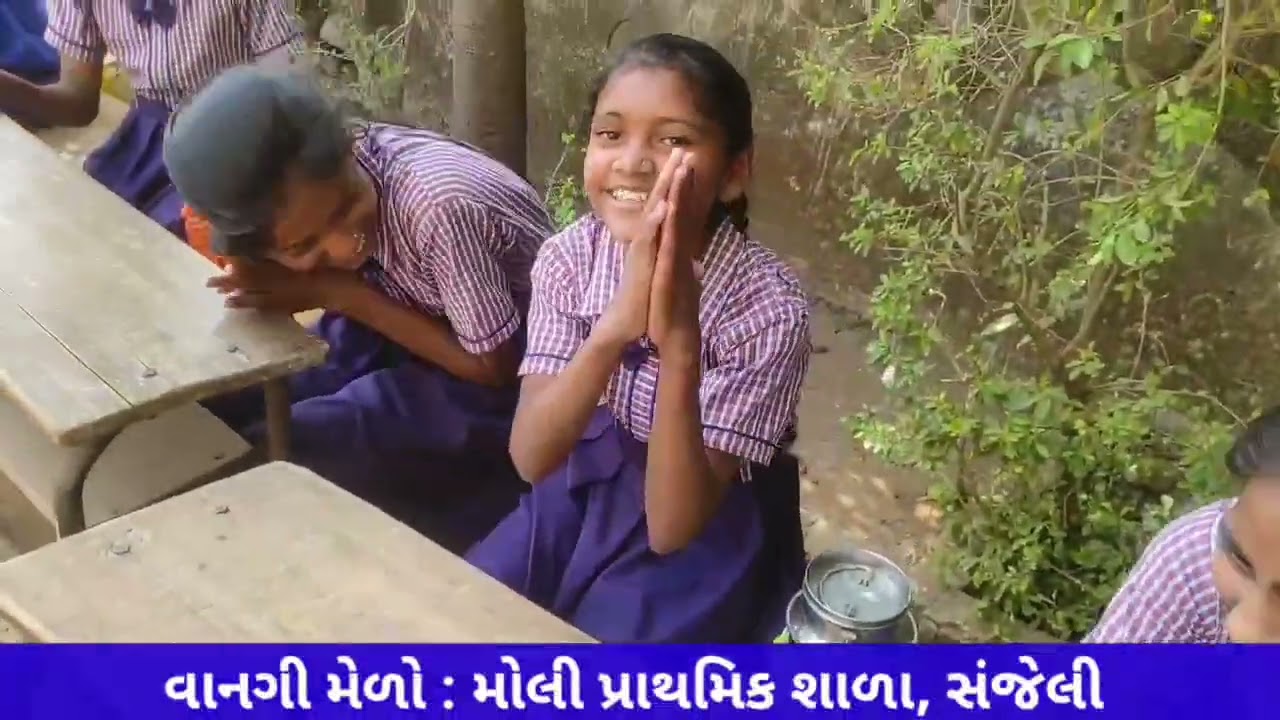 વાનગી મેળો 