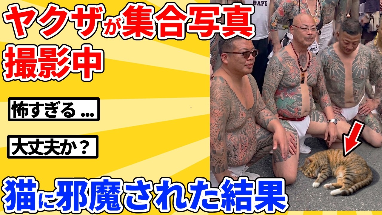 【2ch動物スレ】ヤクザが集合写真を撮影中、猫が邪魔しに来た結果