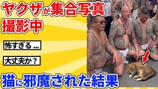 【2ch動物スレ】ヤクザが集合写真を撮影中、猫が邪魔しに来た結果
