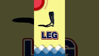 Fun with 3-Letter Words: Learning from K to O!
