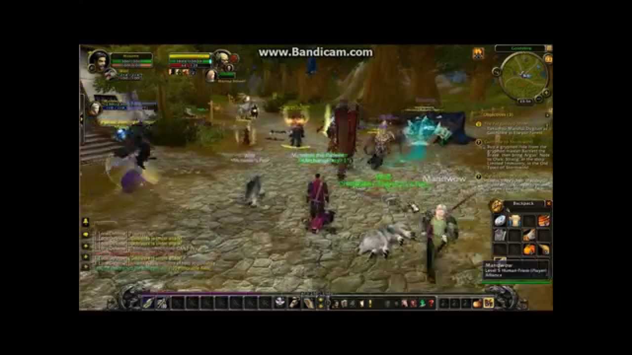 wow big fight in goldshire
