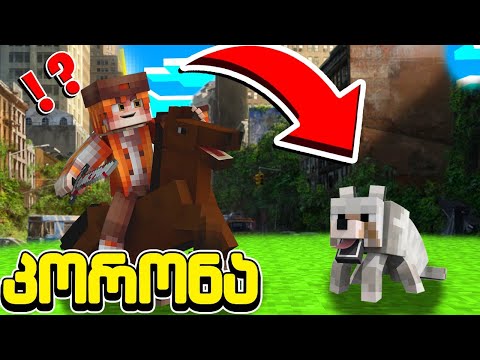 ძაღლი ვიპოვე აპოკალიფსის პერიოდში! ცხოვრება კორონას შემდეგ #7