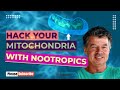 How to improve mitochondrial health