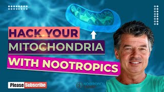 how to improve mitochondrial health