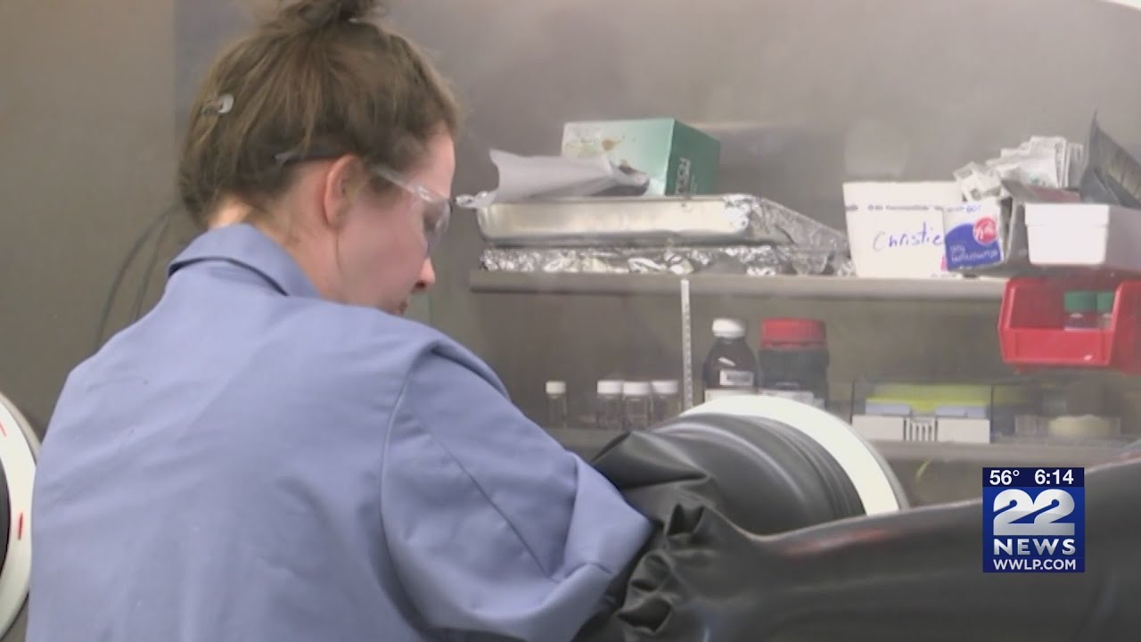 MassBioEd reports growth in the life sciences job sector across the state