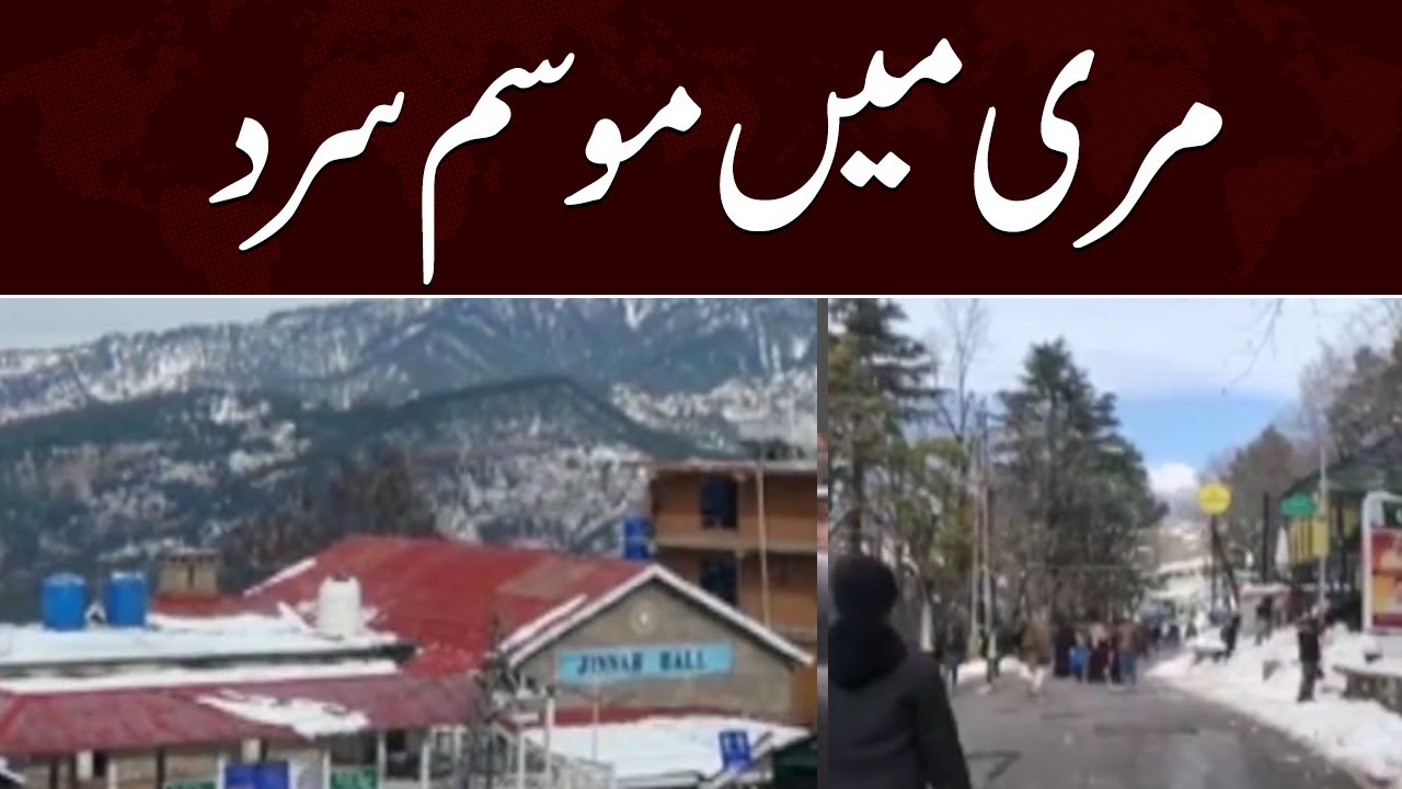 Cold Weather in Murree | Weather Update | Samaa News
