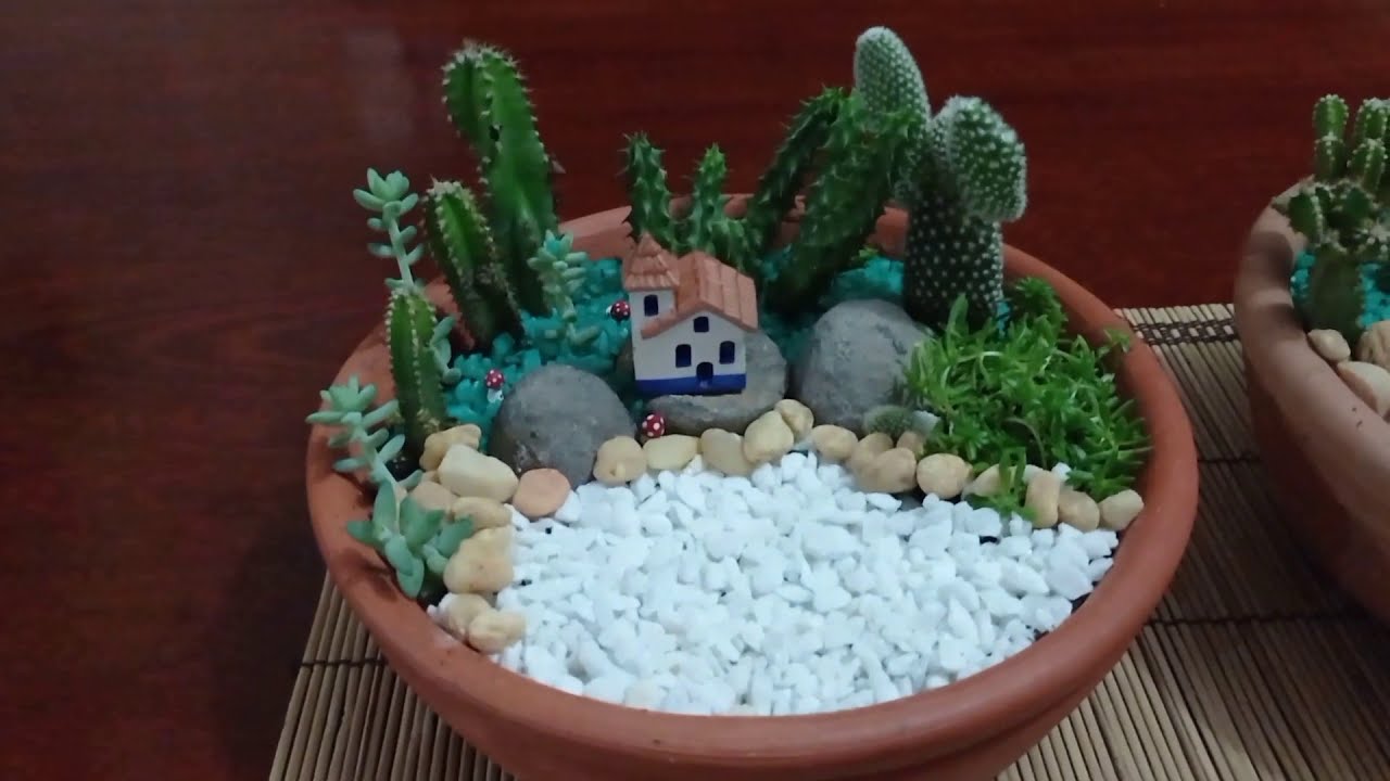 Como fazer um terrário em um vaso de barro com cactos e suculentas