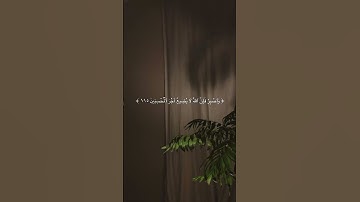 الشيخ #ماهر_المعيقلي | سورة #هود | إن الحسنات يذهبن السيئات
