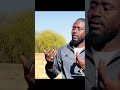 Suite 2 #goat #ladoum #animals #senegal #cow #motivation #afrique #sheep