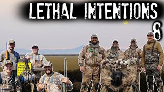 MVM Duck Hunting 8: Lethal Intentions - FULL MOVIE