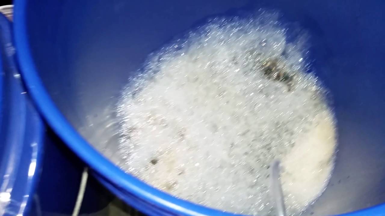 Mammoth P side by side.