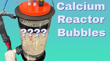 Calcium Reactor Octo Cal React 220 (Trying To Answer A Viewer Comment) (Bubbles Trapped Inside) Help
