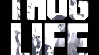 2Pac   09   Cradle To The Grave - Thug Life [1994]