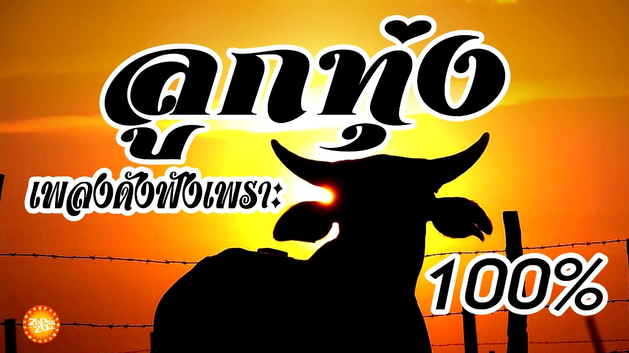 ลูกทุ่งเพลงดังฟังเพราะ100%