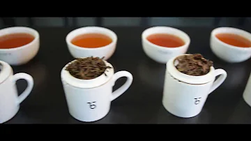 Инновация Teabox - чай в пирамидках TeaPac