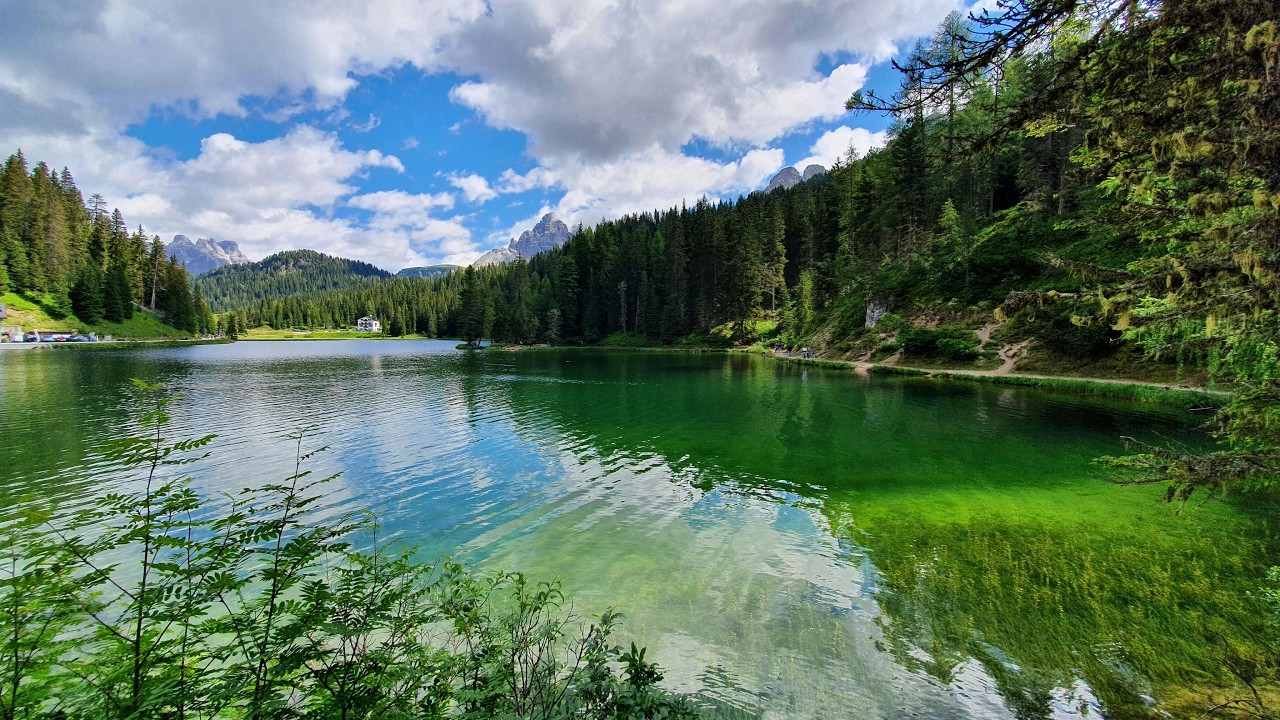 Musique relaxante sons de la nature et eau apaisante pour relaxation, méditation et sommeil profond