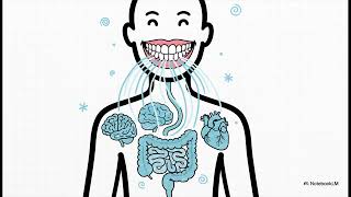 Partial Dentures Mansfield TX: Restore Your Smile & Vitality with Dr. Jiyoung Jung