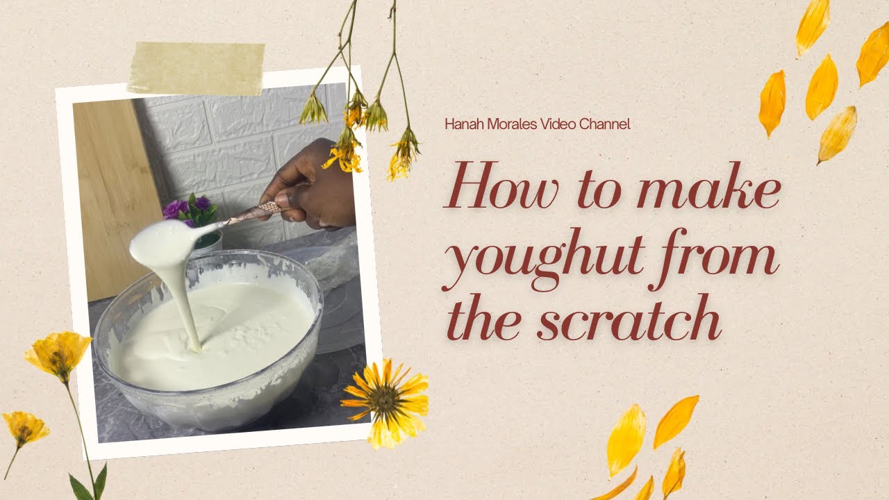 How to make yoghurt from the scratch trick and fact,everything you need to know about yoghurt making
