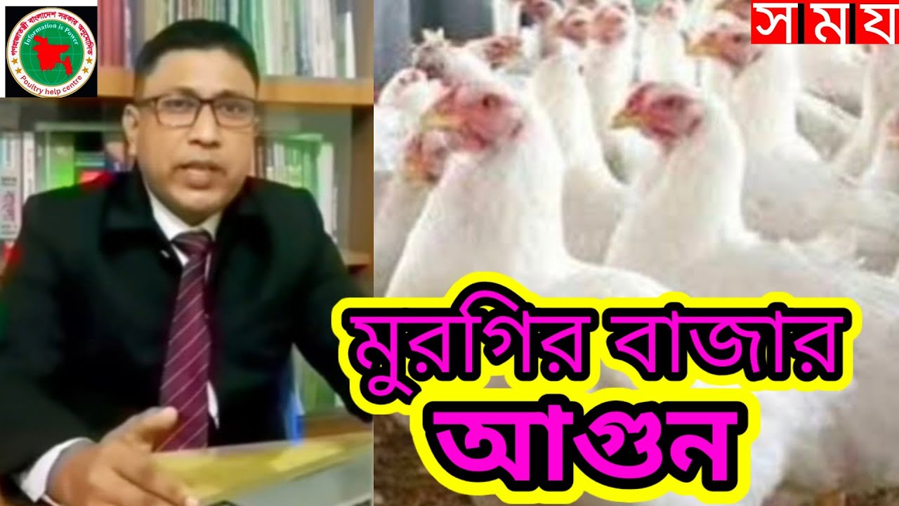 মুরগির বাজার আগুন,দুই দিনের ব্যবধানে বেড়ে গেল মুরগির বাজার,জেনে নিন আজকের মুরগির বাজার poultry from