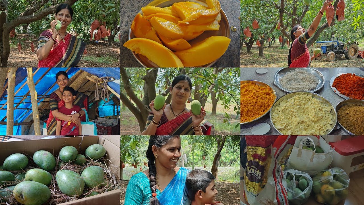 మా నంద్యాలలో organic fruits 😋మేము మోటు మనుషులమే🤔ఆస్తి మూరెడు ఆశ బారెడు😭ఎక్కడ ఉన్న అమ్మ DUTY తప్పదు💓