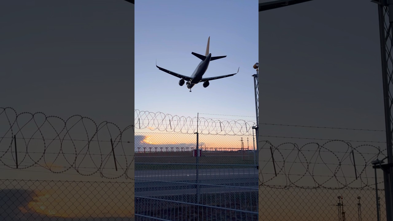 Pegasus Airbus 320N landing in sunrise in Copenhagen Airport