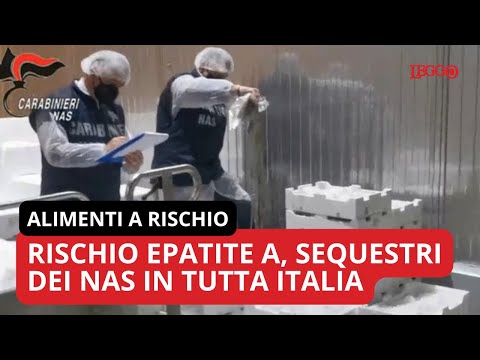 Video Allarme Epatite A, controlli dei Nas in pescherie e ristoranti in tutta Italia