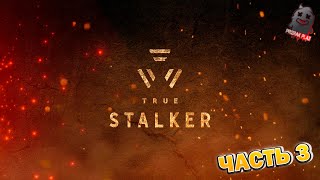 S.T.A.L.K.E.R | МОД TRUE STALKER | ПЛАТФОРМА ЗОВ ПРИПЯТИ | ПРОХОЖДЕНИЕ | ЧАСТЬ 3 | ВЕБКА | ОБЩЕНИЕ