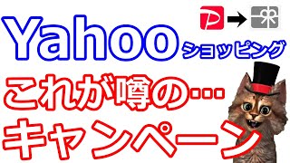 PayPayポイントではなくヤフーショッピング商品券が貰えるテストキャンペーン開始【Yahooｼｮｯﾋﾟﾝｸﾞ】