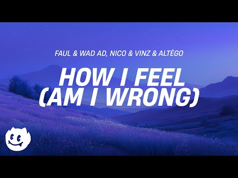 How I Feel (Am I Wrong) Lyrics - Faul & Wad Nico & Vinz ALTÉGO Old Jim