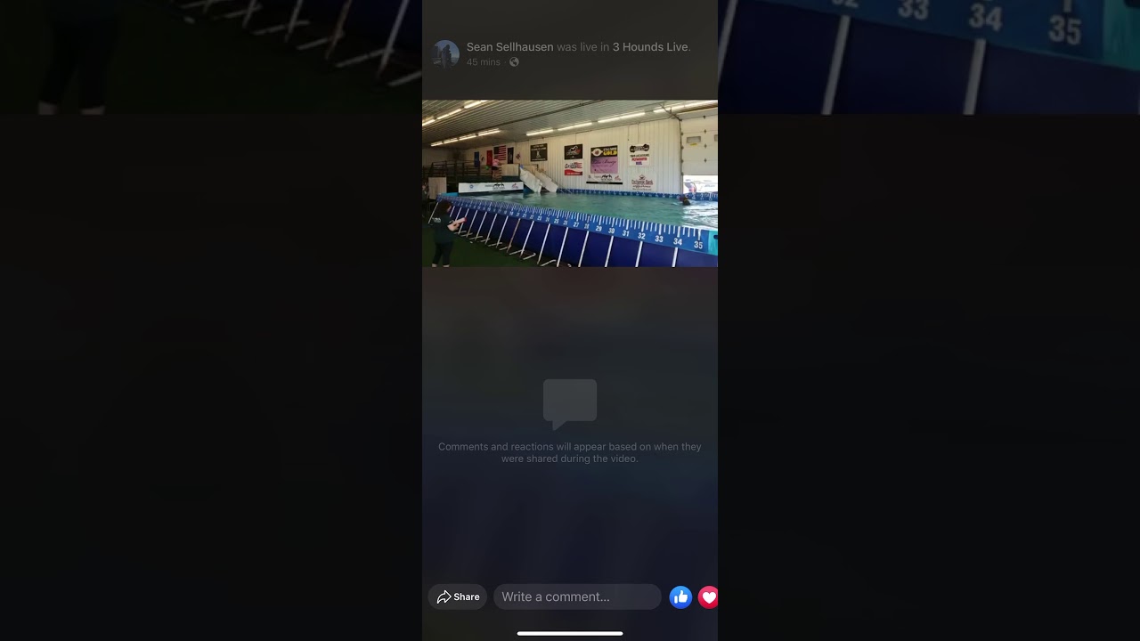 Sand spring Chesapeakes slammer splash 4