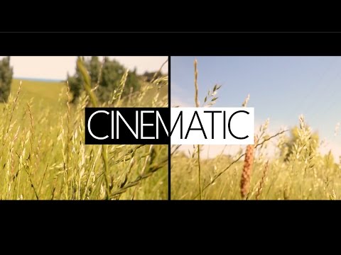 Nikon D600 Cinematic