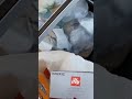 They threw bags of coffee in the dumpster!  #dumpsterdiving #free #viral #shorts