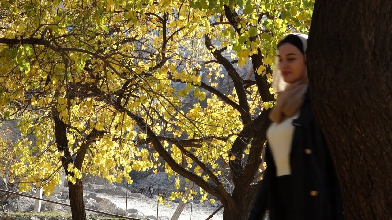 Гимры - Родина двух легендарных имамов Гази-Магомеда и Шамиля. Часть 1.