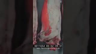 Thumbnail for This is how your beef's quality is determined 🥩