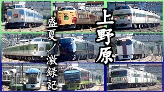 【激録記!】盛夏の上野原を駆け抜ける豪華列車たち 189系全種・四季島・E655系なごみ など収録