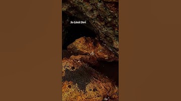 How Your Electronic Devices Are Sabotaging Your Productivity and Relaxation #quotes #sleep #shorts