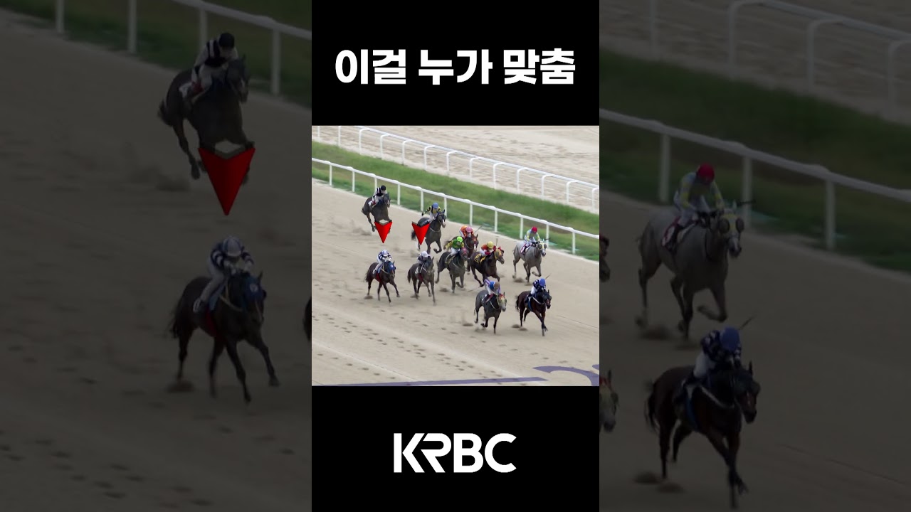 이거 맞춘 사람 있음?  #shorts #경마방송 #기수 #경주마 #경마 #KoreaHorseRacing