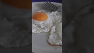 Have An Eggcellent Day